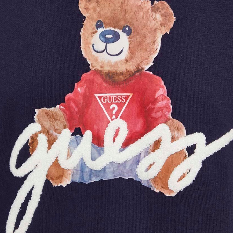 eco-max-bear-sweatshirt