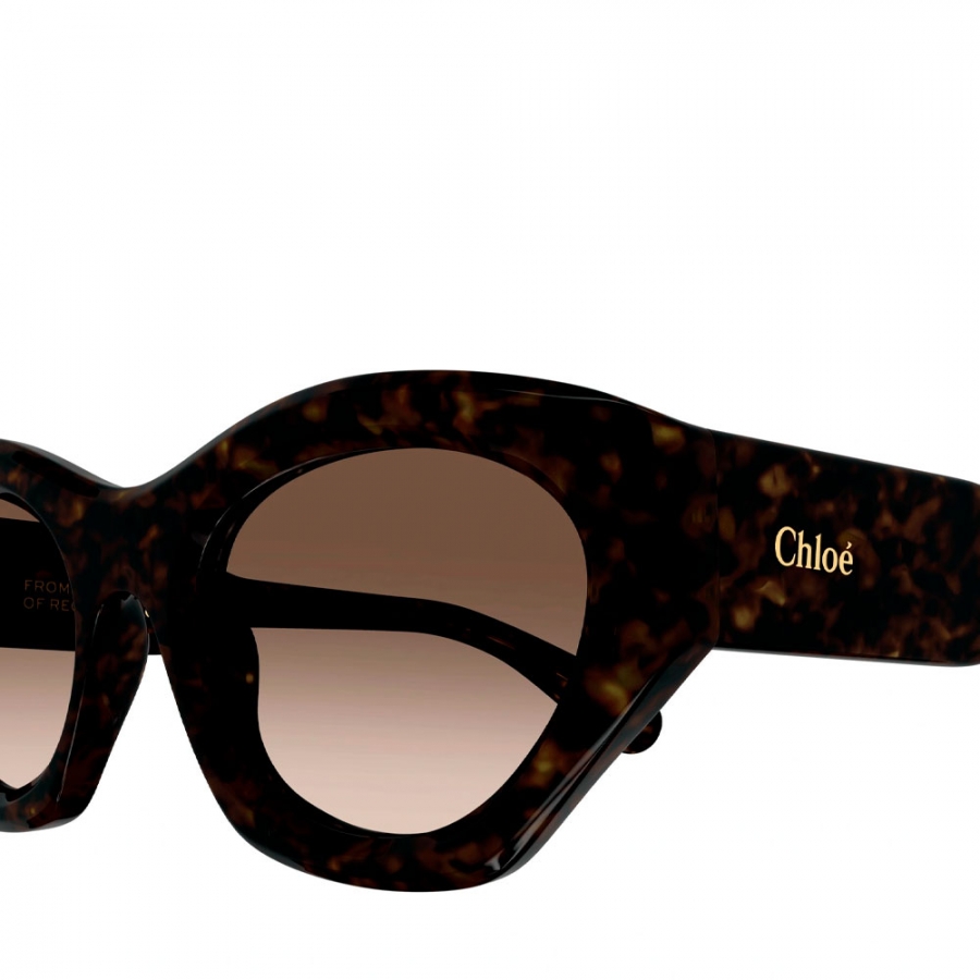 gafas-de-sol-ch0220s