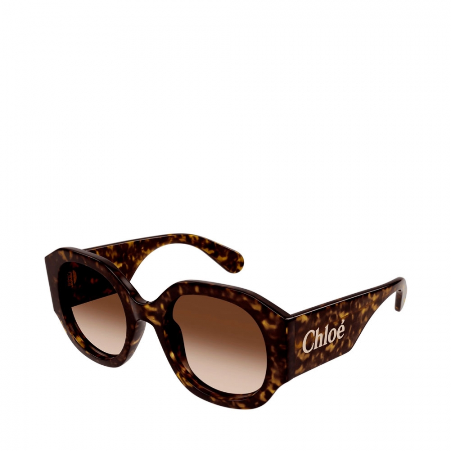 gafas-de-sol-ch0234s-havana