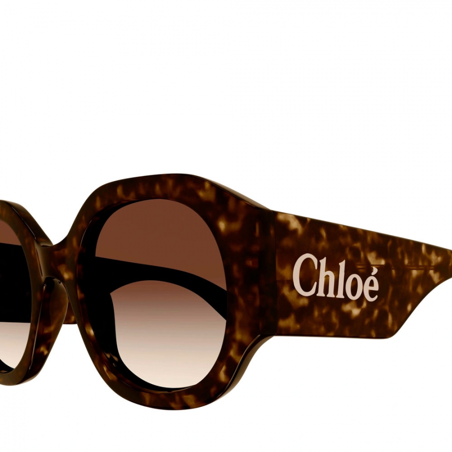 ch0234s-lunettes-de-soleil-havane