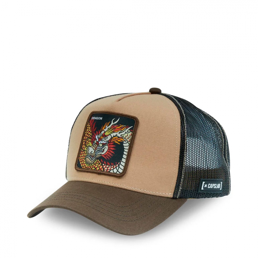 cl4-1-ct-gra-casquette-dragon