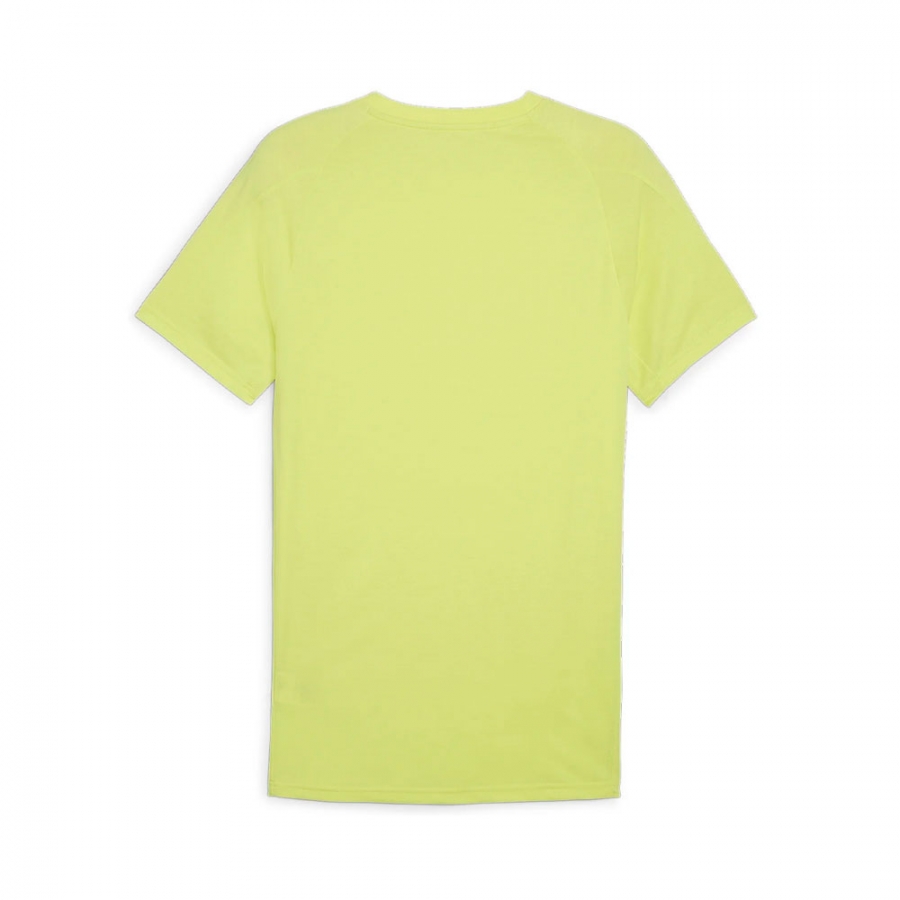 evostripe-t-shirt-for-men