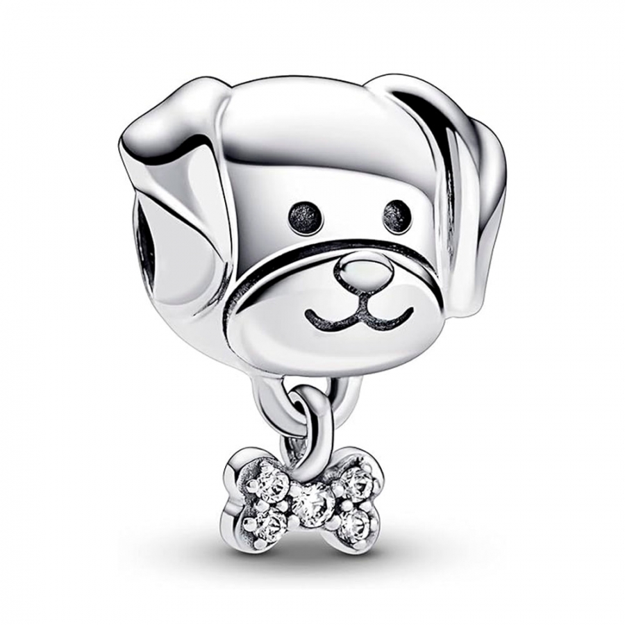 dog-and-bone-pet-charm-792254c01