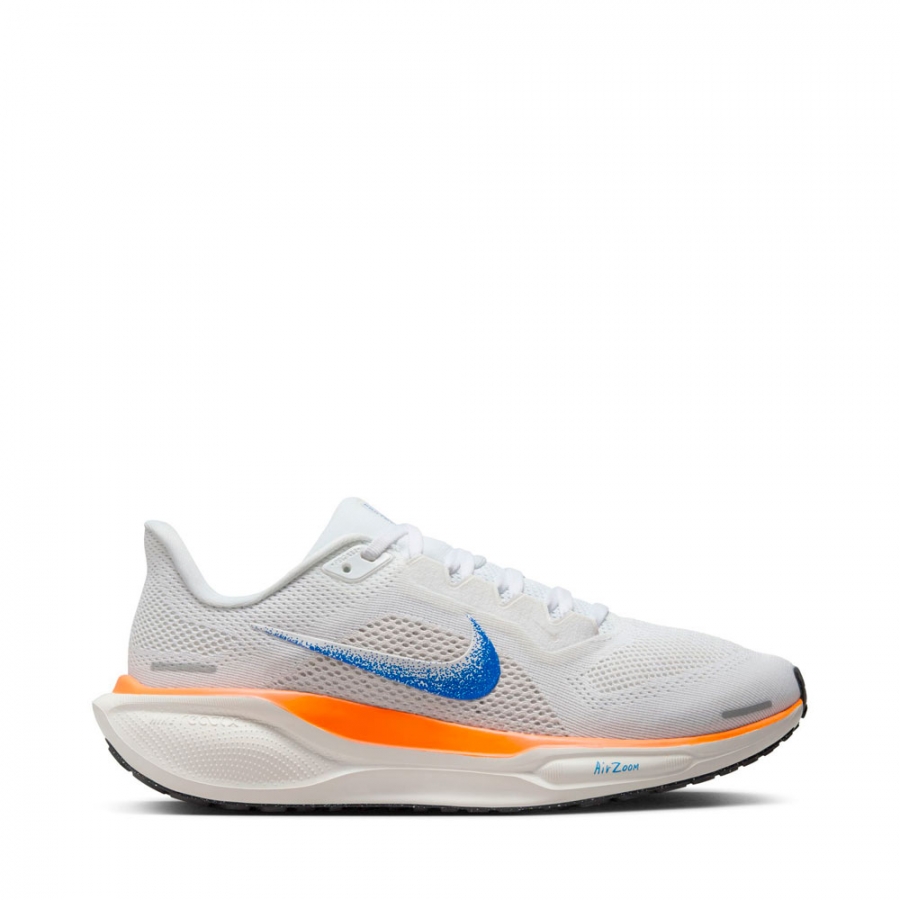 air-zoom-pegasus-41-schuhe