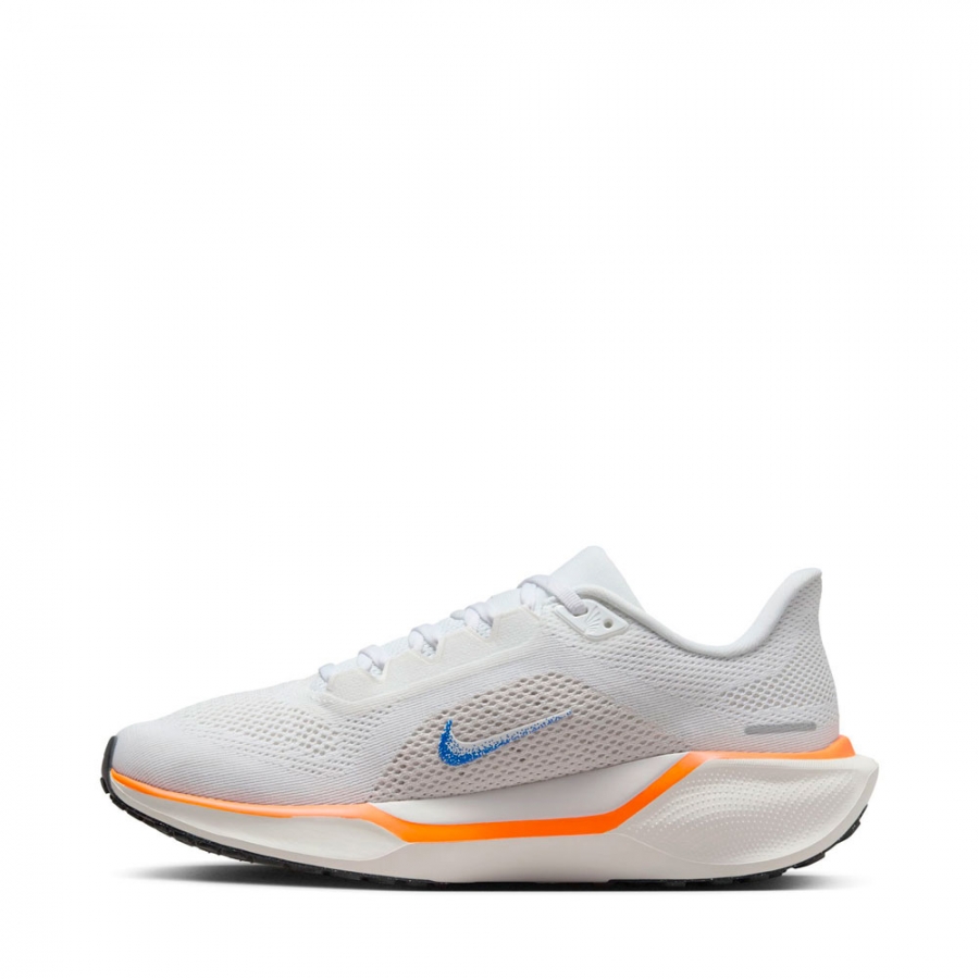 air-zoom-pegasus-41-schuhe