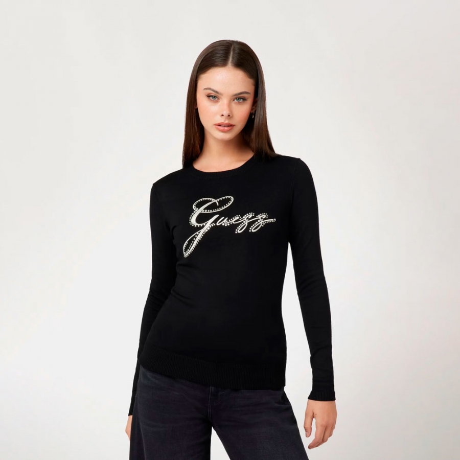 pullover-mit-strass-logo-vorne