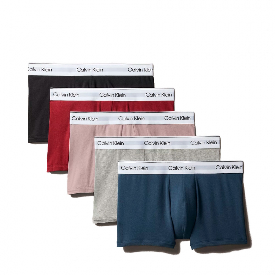 lot-de-5-boxers-coton-moderne