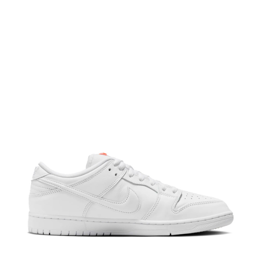 sapatos-dunk-low-pro