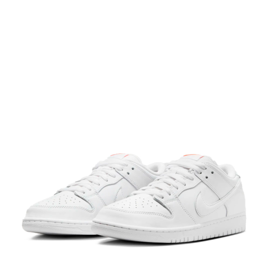 dunk-low-pro-schuhe