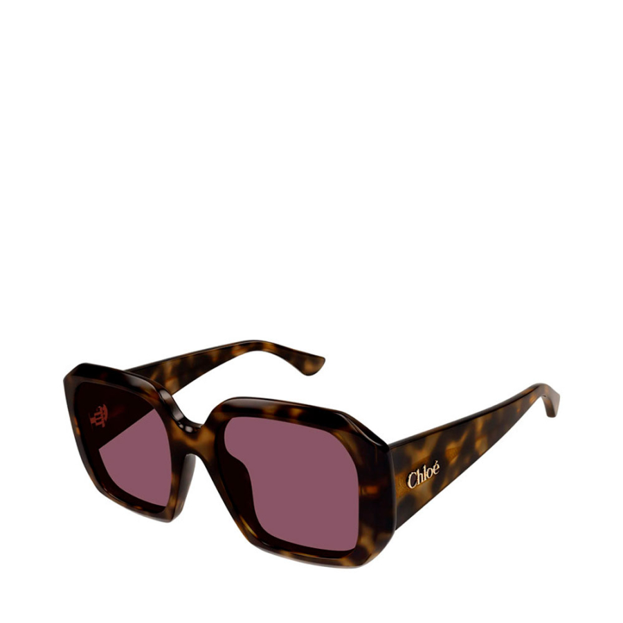 lunettes-de-soleil-ch0300s