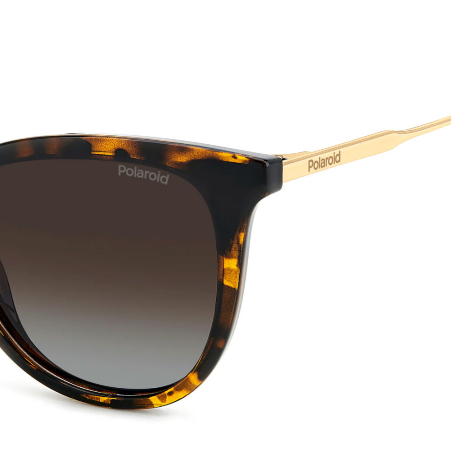 gafas-de-sol-pld-4184-s-x