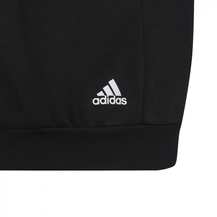 Adidas Future Icons Sweat à capuche épais